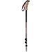 Black Diamond Trail Ergo Cork Trekking Poles
