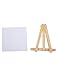 MEEDEN Mini Canvas & Easel Set of 12 PCS, 4