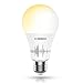 Smart Light Bulb, Tunable, Soft White to Daylight, Wifi Smart Bulb, 60 Watt Equivalent, A19 E26 Edison Bulb, Compatible with Alexa and Google Home, Lumiman LM520