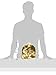 Fort Knox Milk Chocolate Gold Coins - 5 Lb Bulk Bag