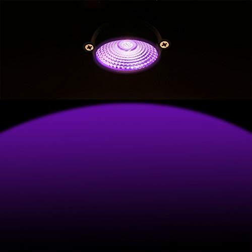   Hypergiant 12W Waterproof Plug in UV LED Spotlight ,Outdoor Black Lights,120V AC,3.3ft wire,Stake landscape Light for Outdoor Decoration Yard Lawn Patio Garden Path Tree(2-PACK)