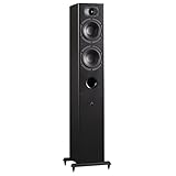 Aperion Audio Intimus 5T