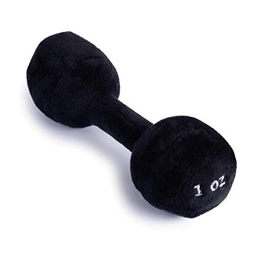 Baby Dumbbell Toy | Baby Workout Toys | Dumbbell Toy Baby | Baby Barbell Rattle | Weight Rattle for Babies | Plush Baby Dumbbell Rattle | Great Gift for Baby and Toddler Girls or Boys | 0-36 Months