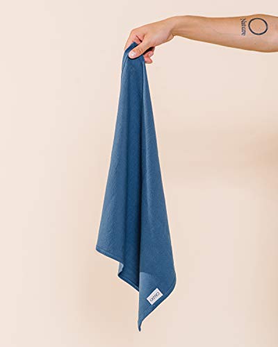 Caldo Linen Dinner Napkins - Soft and Durable Cloth - 4 Pack - 20x20 inch (Vintage Blue)