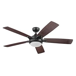 Prominence Home 51649-01 Lorelai Smart Ceiling Fan