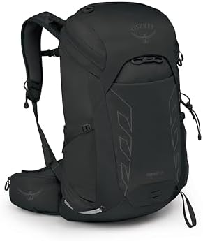 jansport backpack for school JanSport Essential 24 L Backpack - Electric Azul