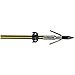 Cajun Bowfishing Piranha Point and Yellow Jacket Carbon Arrow Shaft with Slide