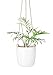Mkono Ceramic Hanging Planter Macrame Plant Holder Succulent Flower Pot with Wood Beads