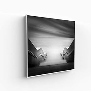 Canvas Wall Art for Living Room, Bedroom Silence Framed Canvas Prints for Home Decoration Ready to Hang - 16x16 inches