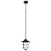 Globe Electric 44334 Matthews Outdoor Pendant, 51.6
