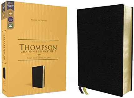 NIV, Thinline Bible, Giant Print, Bonded Leather, Black, Red