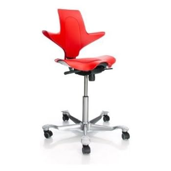 Amazon.com: Hag Capisco Chair Puls 8010 Silver Lacquered ...