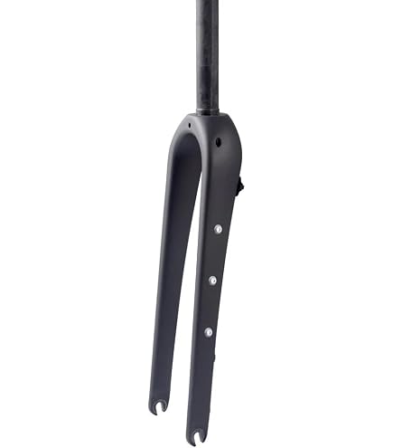 Amazon.com: WCS 700C Carbon Fiber Gravel Bike Fork 1 1/8 to 1 1/2