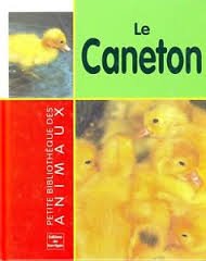 Le  caneton