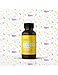 Delta 9 Terpenes - Girl Scout Cookies | 100% Pure Organic | Strain Specific (4mL)