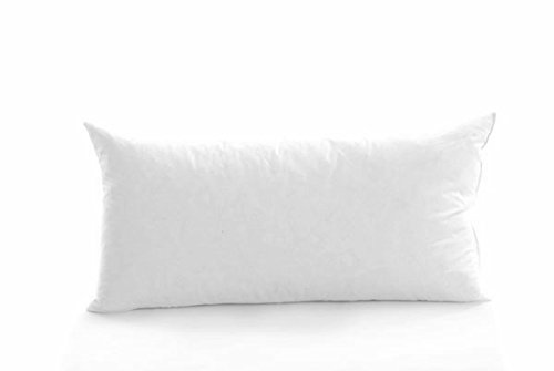 30 x 40 cushion insert