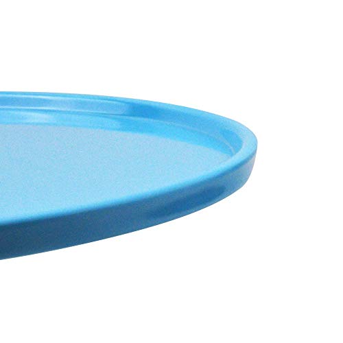 Round Cake Stand 11" Cake Display Rotating Stand Dessert Cupcake Revolving Turntable Display Tray for Graduation,Wedding,Birthday,Party,Anniversary,Ceremony (1Pack, Baby Blue) - Thumbnail 5