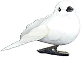 Touch of Nature 6-Piece Mushroom/Feather Dove Assortment on Clip in Acetate Box for Arts and Crafts, 3-Inch, White