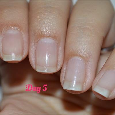 Nail Butter Cuticle Repair Cream with Peppermint Oil 1oz. Jar