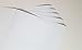 White (Matte) 5-Pack of Adhesive Vinyl Sheets - 12