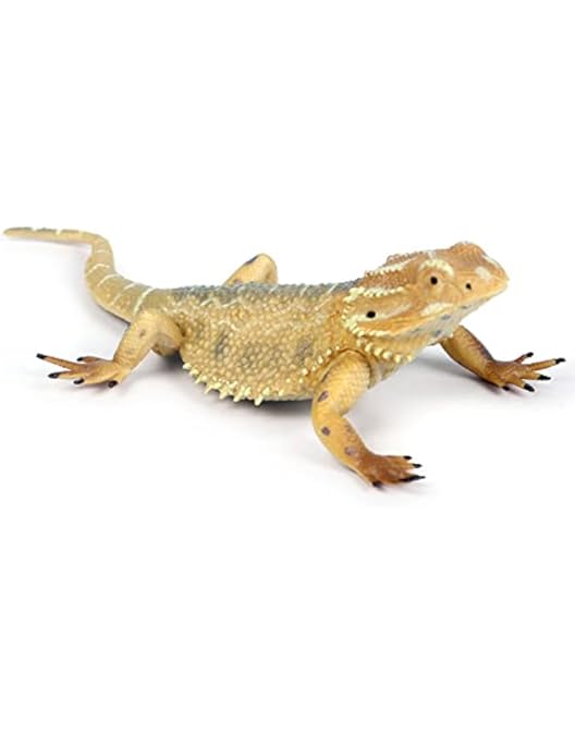 realistic bearded dragon toy