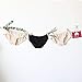 Rael/Hesta Organic Cotton Panties Underwear - Premium Fabric Breifs, Comfortable, Breathable, Soft,, Safe on sensitive skin for Women (Small, 3Black)