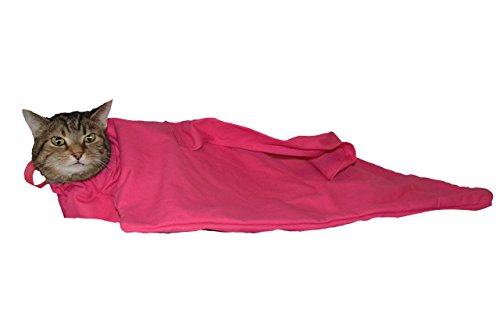 cozy comfort carrier