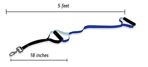 Leashboss Original - Heavy Duty Two Handle Dog Leash for Large Dogs - No Pull Double Handle Training Lead for Walking Big Dogs (Blue)