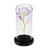 La Belle et la Bête Rose, Cadeaux pour Elle, Cadeaux d’Anniversaire pour Femme, Rose Enchantée dans un Dôme de Verre…