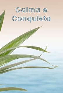 Livro Calma e Conquista: Técnicas de Produtividade para Mentes Aflitas