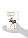 Peterson First Guide To Mammals Of North America