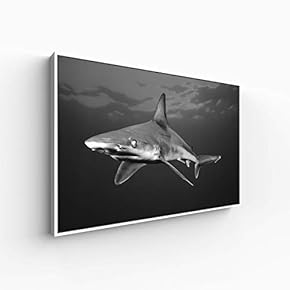 Canvas Wall Art for Living Room, Bedroom Animal Portrait Framed Canvas Prints for Home Decoration Ready to Hang - 16x24 inches
