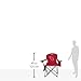 Coleman NFL Cooler Quad Folding Tailgating & Camping Chair with Built in Cooler and Carrying Case, Arizona Cardinals