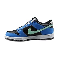 Nike Youth Dunk Low SE GS DR0165 001 Crater - Photo