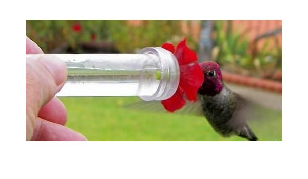 Amazon Com Gg 2 Hand Held Or Window Hummingbird Feeders