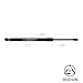 MGPRO 2pcs Rear Trunk Lid Gas Lift Supports Strut Shocks For BMW 2006-2011 E90 323i 325i 325xi 328i 328xi 328i xDrive 330i 330xi 335d 335i 335i xDrive 335xi M3 4-Door Sedan