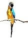 All Seas Imports X-Large Handcrafted Ultra Lightweight Parrot with Real Feathers/Bendable FEET!