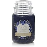 Blueberry Large Jar Candle,Fresh Scent
