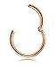 Thunaraz 316L Surgical Steel Nose Hoop Ring Septum Clicker Ring Hinged Clicker Seamless Segment Helix Daith Cartilage Lip Piercing Rose Gold