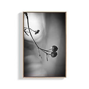 Canvas Wall Art for Living Room, Bedroom Plants Framed Canvas Prints for Home Decoration Ready to Hang - 16x24 inches