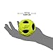 Nerf Dog Bash Rubber Wrapped Tennis Ball Dog Toy, Lightweight, Durable and Water Resistant, 3.5 Inches, for Medium/Large Breeds, Two Pack, Green and Red