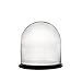 CYS EXCEL Glass Dome Cloche With Black Wood Base (H:13