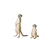 Ania Animal Pack, Meerkats