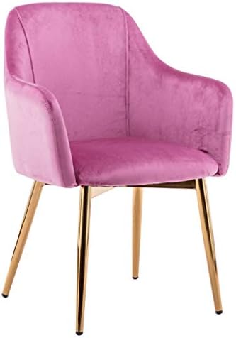 Chair Dining Chair Negotiate The Chair Makeup Chair Tea Shop Chair Coffee Chair Conference Chair Iron Chair Modern Lounge Chair (Color : GRAY, Size : 46 * 46 * 83CM)