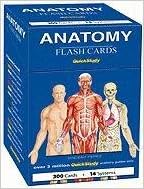 Anatomy Flash Cards