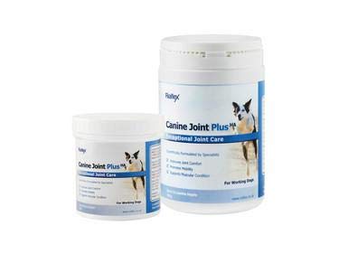 Riaflex Canine Joint Plus | High Strength Hip & Joint Supplement For Dogs | Powerful combination of Glucosamine, MSM, Chondroitin & Hyaluronic Acid (400g) โ image 1