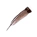 VICTONY wanjin Turkey Feathers 10-12 inches Party Decoration per Pack of 10