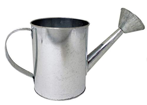 Galvanized Large Metal Watering Can with Handle