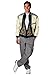 Fun Costumes Ferris Bueller's Day Off Adult Ferris Bueller Jacket and Vest Costume for Men - Medium