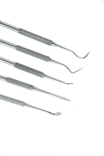 2 SE+DD312+12+Piece+Stainless+Carvers